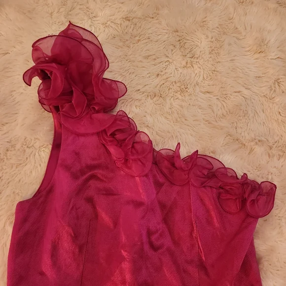 3.1 Phillip Lim Fucshia 1 Shoulder Ruffle Moni Dress Size 6 Small - Picture 11 of 11